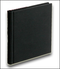 black book FrostBitten